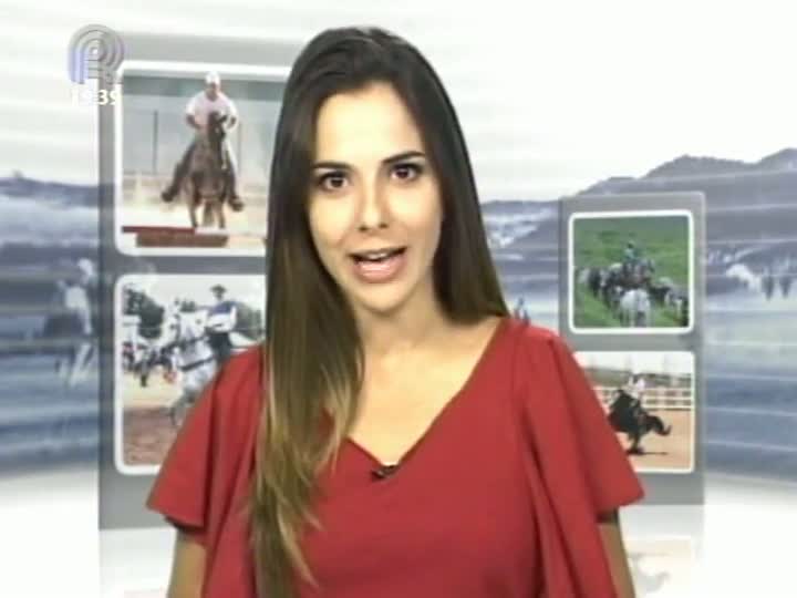 Mangalarga Marchador TV conta a história da matriarca da tradicional linhagem Favacho (Parte 2)