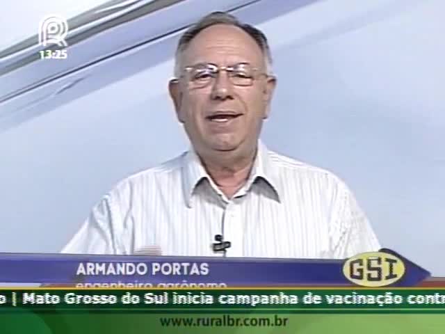 Armando Portas fala de armazenagem e Copa do Mundo