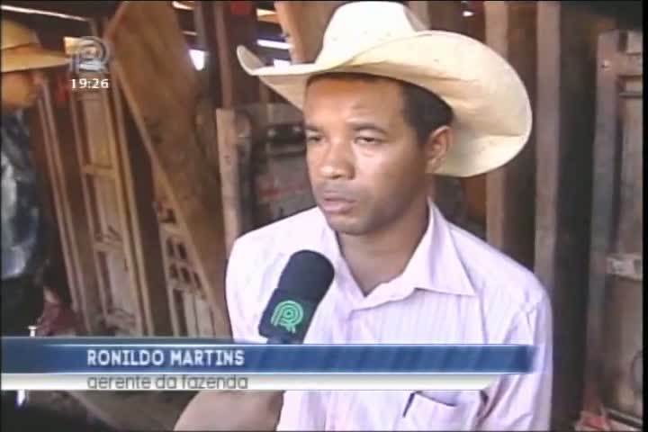 Campanha da primeira etapa de vacinação contra aftosa em Mato Grosso deve alcançar média dos últimos anos