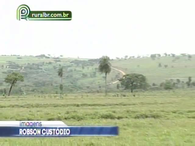 Guarani-kaiowás reivindicam terras com indenização aos proprietários em Mato Grosso do Sul