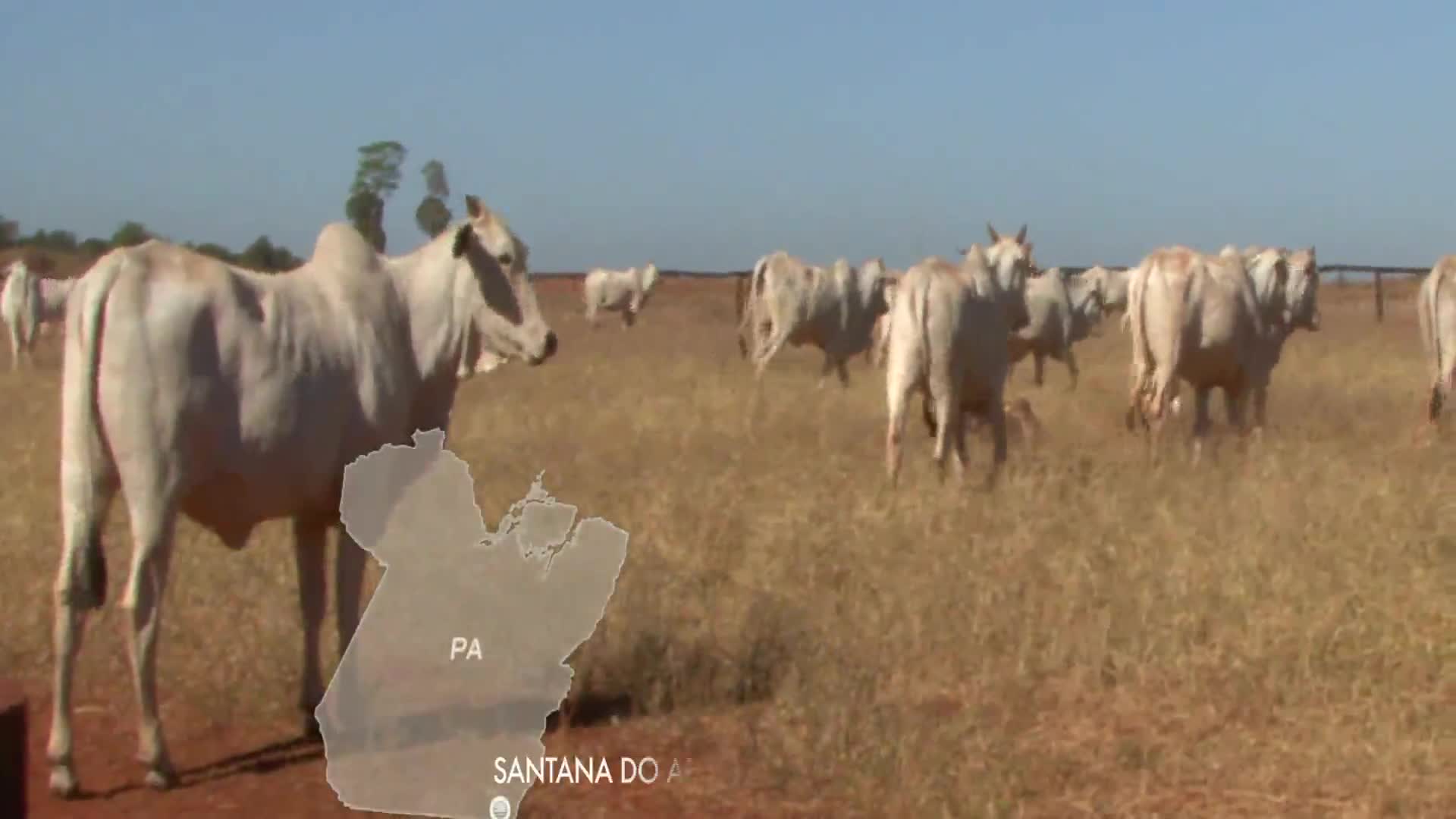 Parceiros do Campo - Santana do Araguaia - PA