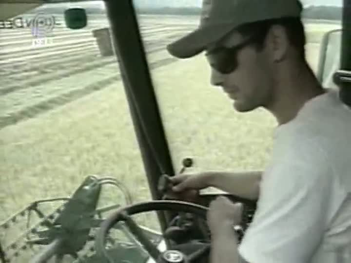 Produtores de arroz de SC são prejudicados pelo clima