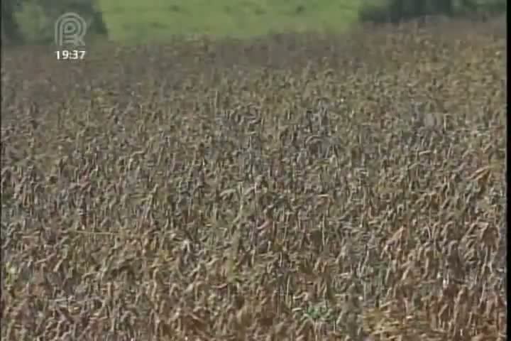 Antônio Andrade diz que logística é maior desafio para o agronegócio