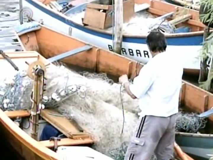 Chuvas acima da média prejudicam a pesca de camarão no Rio Grande do Sul