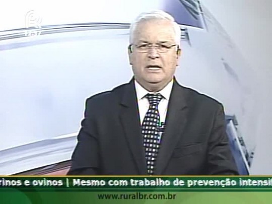 Senador critica investimento brasileiro em porto de Cuba