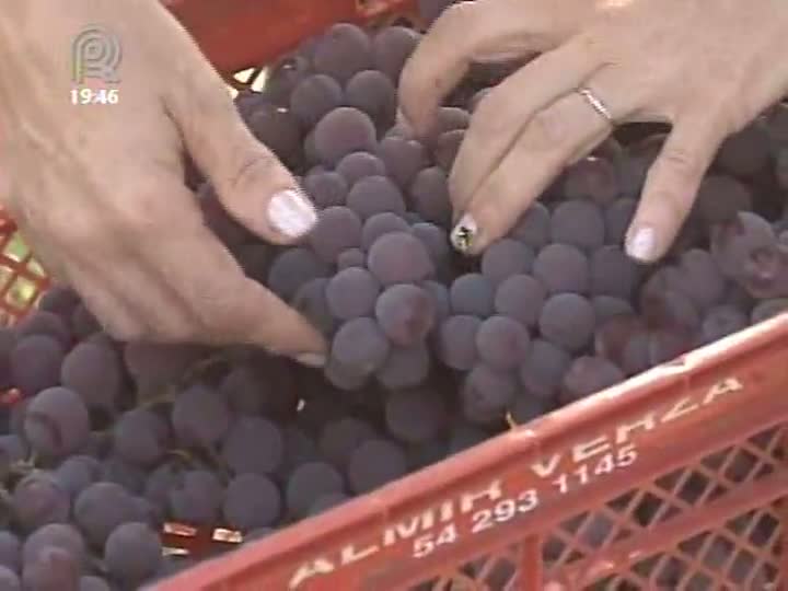 Projeto de lei pede inclusão de orgânicos na merenda escolar em São Paulo