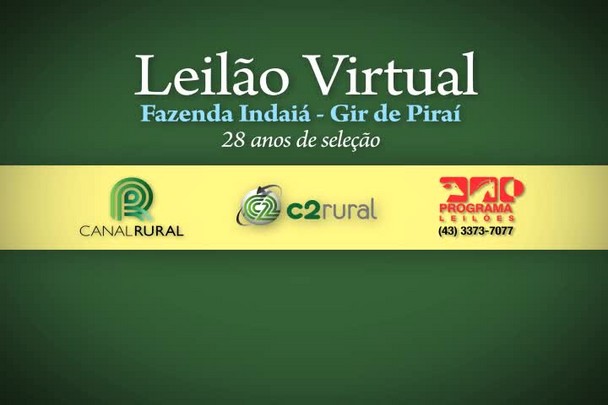 Leilão Virtual Fazenda Indaiá - Gir de Paraí