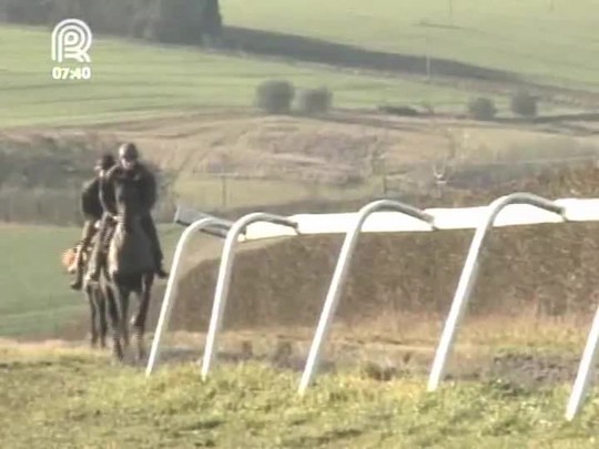 Equinos recebem tratamento em SPA