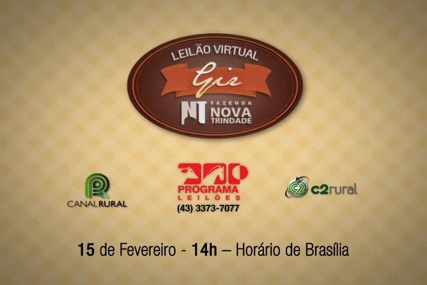 Leilão Virtual Fazenda Nova Trindade