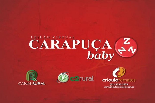 Leilão Virtual Carapuça Baby