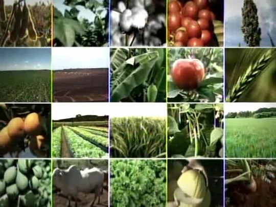 Tecnologia do Campo resgata a história das máquinas e dos implementos agrícolas