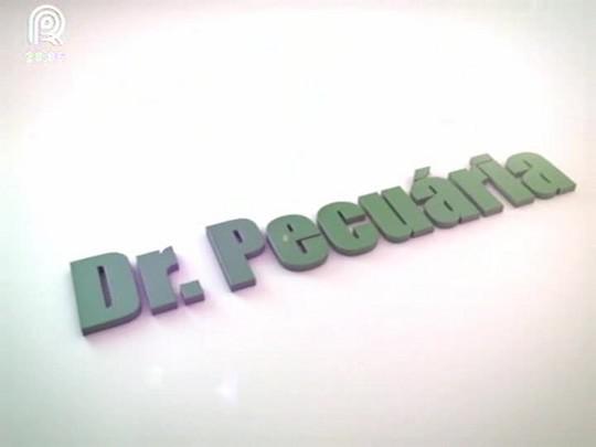 Dr.Pecuária: doença respiratória bovina