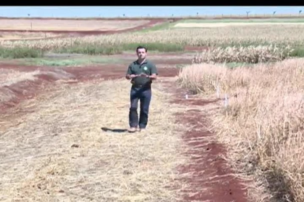 Técnica Rural - Soja Brasil: Preparação do solo