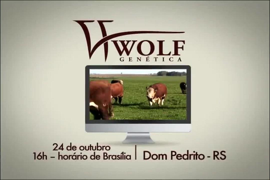 Leilão Wolf Genética - 24/10/2014