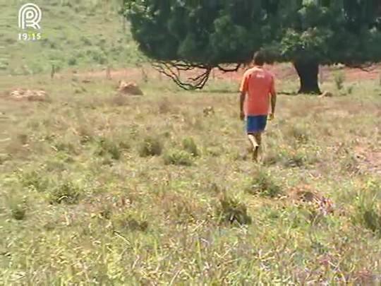 Valor pago ao produtor pelo leite sobe em Mato Grosso