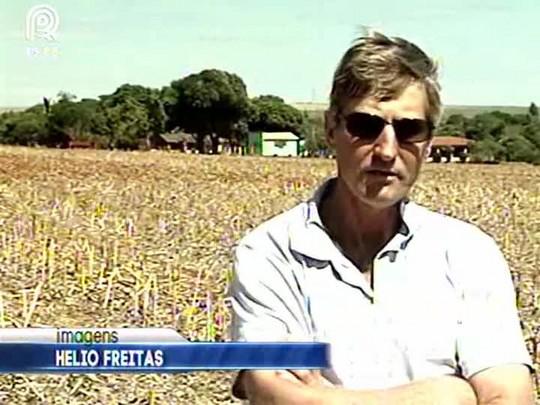 Seca preocupa produtores de soja do Distrito Federal