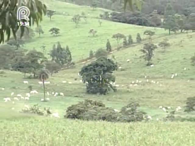 Áreas de veredas de Minas têm regras diferentes das do Código Florestal brasileiro