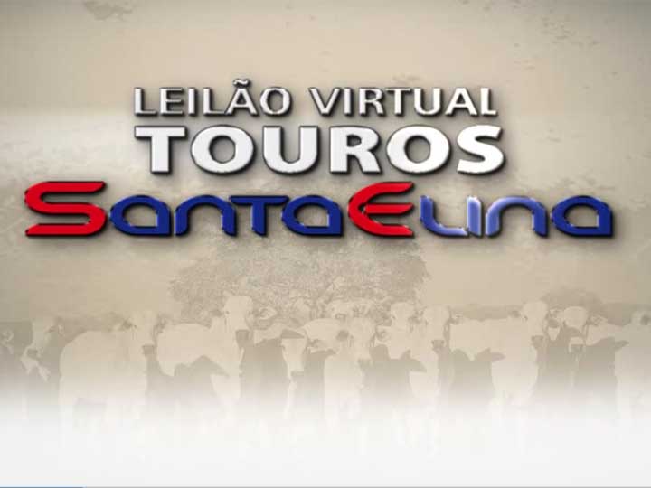 Leilão Virtual Touros Santa Elina