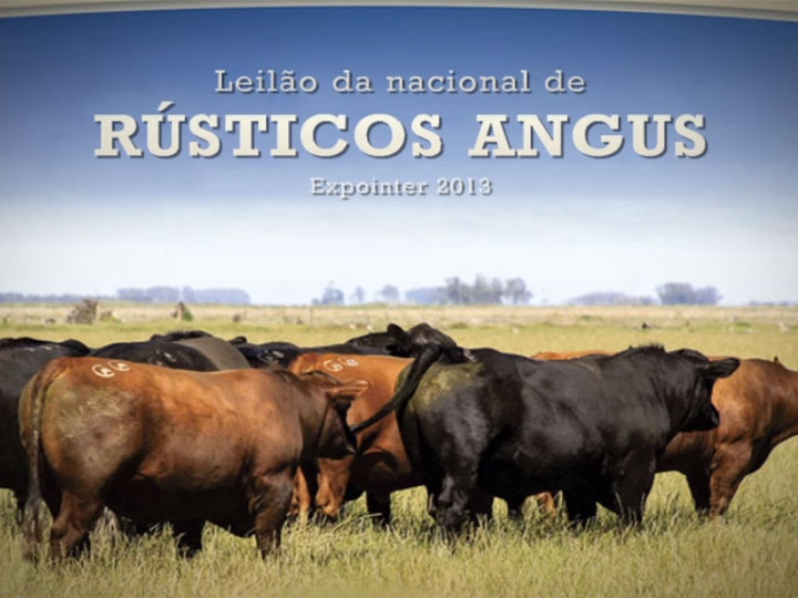 Leilão da Nacional de Rústicos Angus