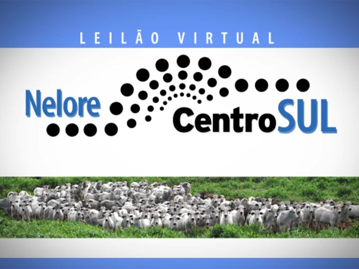 Leilão Virtual Nelore Centro Sul