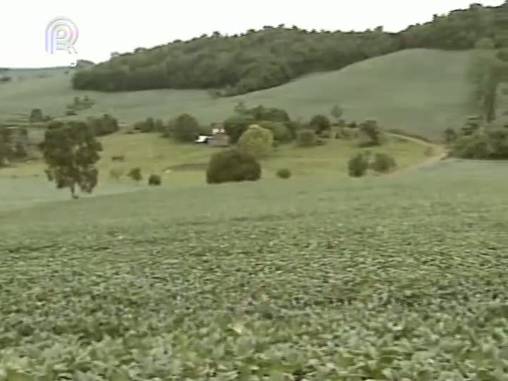 Produtores do RS torcem pela chuva na fase final do ciclo da soja