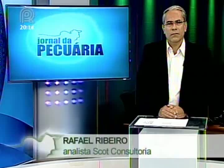 Analista da Scot Consultoria fala sobre produção de soja e milho no Brasil e na Argentina