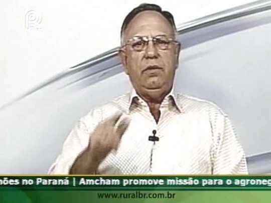 Consultor mostra que a armazenagem é uma solução para evitar a correria nos portos