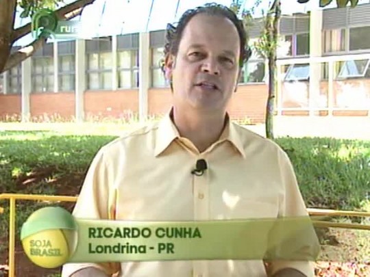 Técnica Rural - Soja Brasil - Saiba mais sobre o percevejo marrom, uma das pragas da cultura da soja