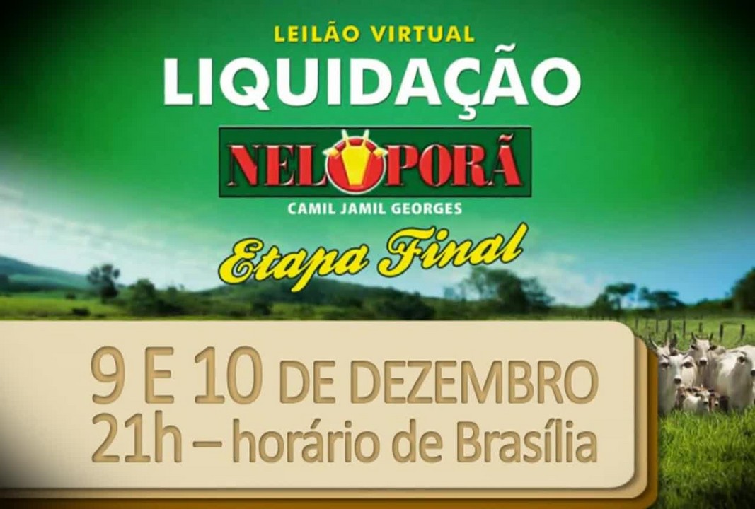 Leilão Virtual Liquidação Fazenda Neloporã