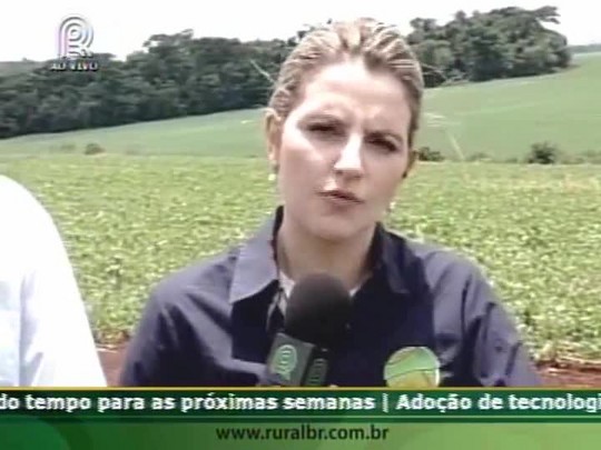 Engenheiro Paraílio Zanini prevê equilíbrio no cultivo de milho e trigo para o Paraná