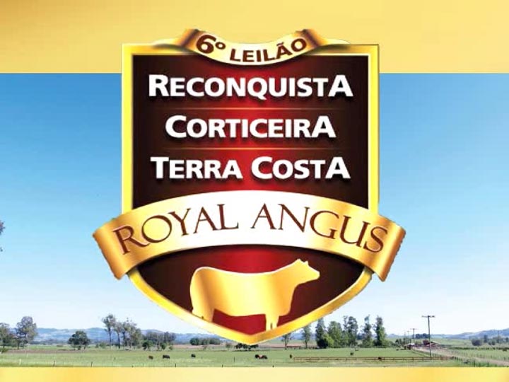 6º Leilão Royal Angus