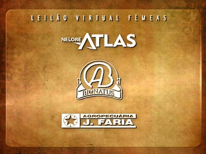 Leilão Virtual Fêmeas Agropecuária J Faria, Nelore Atlas, Bionatus & Convidados