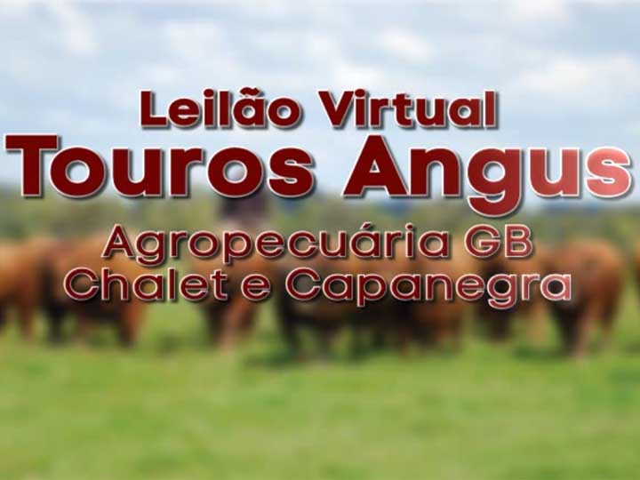 Leilão Virtual Touros Angus Agropecuária GB, Chalet Agropecuária e Cabanha Capanegra