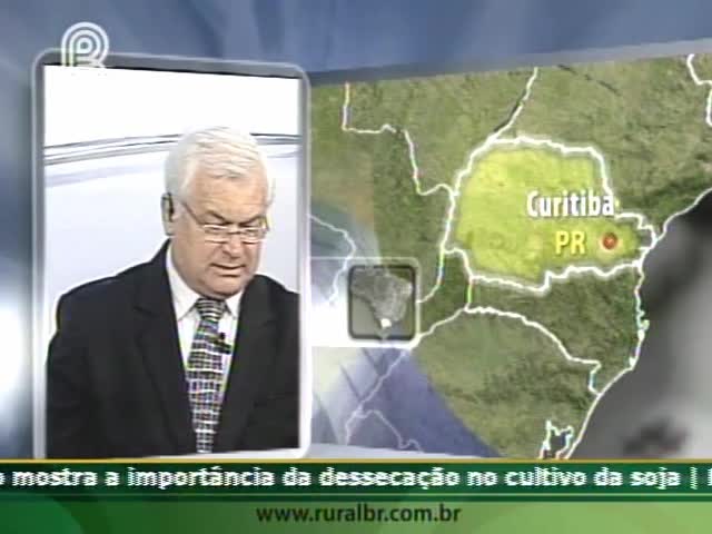 Analista de mercado fala sobre a colheita norte-americana de soja