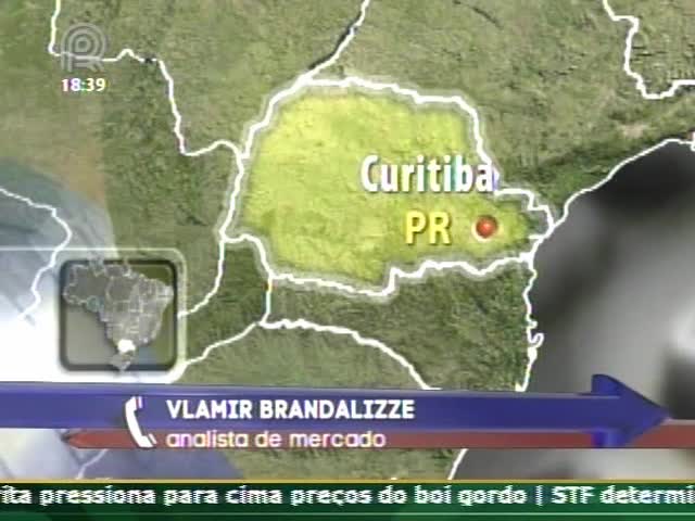 Analista de mercado fala sobre a colheita de milho nos Estado Unidos