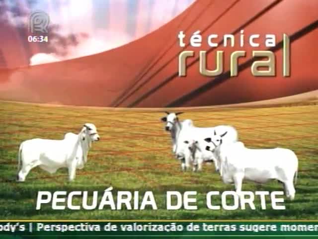 Técnica Rural - Pecuária de corte - Normas para admissão e permanência de animais na Expointer
