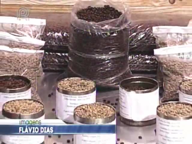 Setor do café busca saída para conquistar consumidores e garantir o preço do grão