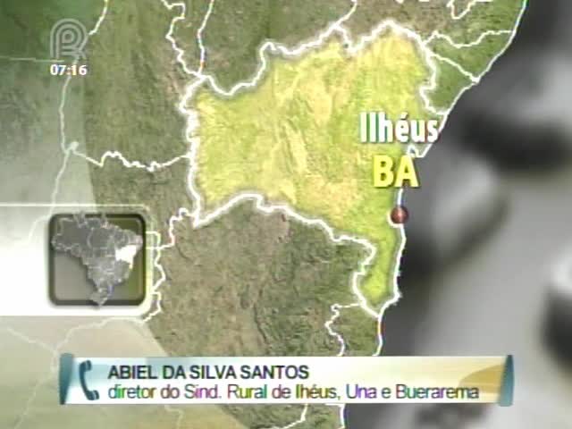 Diretor do Sindicato Rural de Ilhéus, Una e Buerarema (BA) fala sobre a situação da região