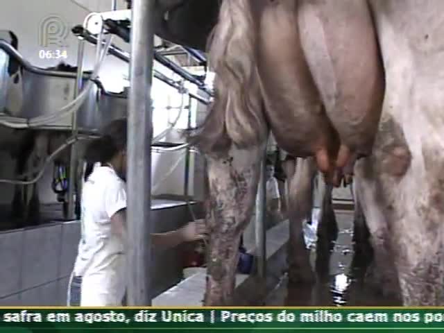 Técnica Rural - Consultoria para produtores de leite
