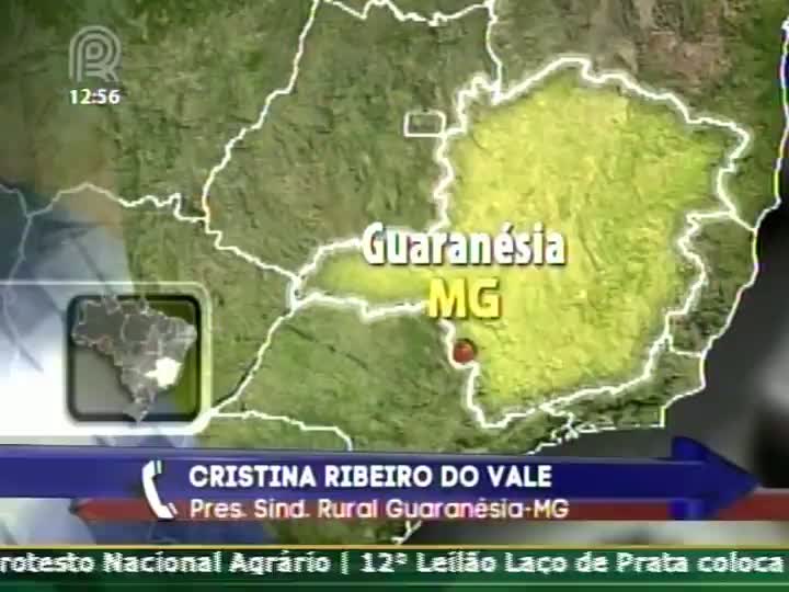 Cafeicultores estão desapontados com governo federal