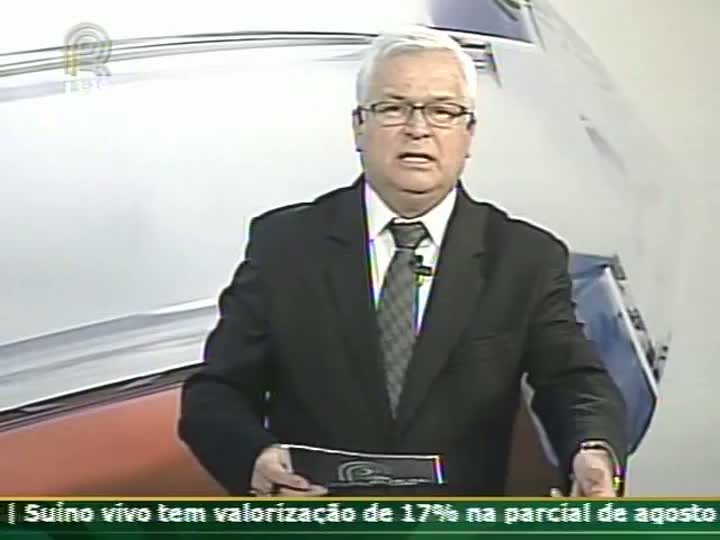 Pecuaristas de Mato Grosso fazem movimento para suspender abates