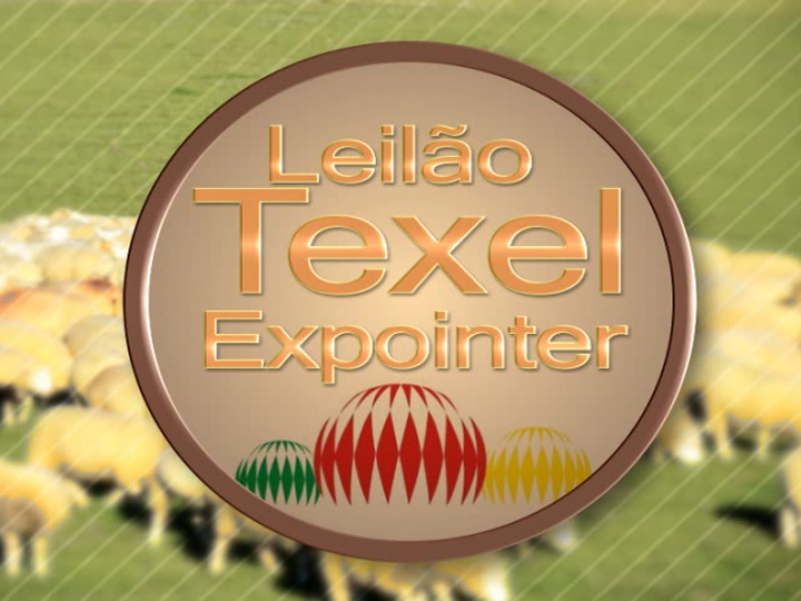 Leilão Texel Expointer