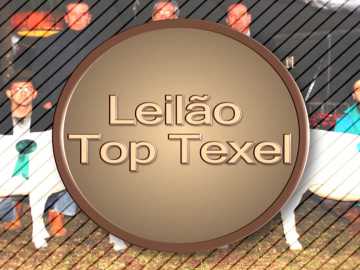 Leilão Top Texel