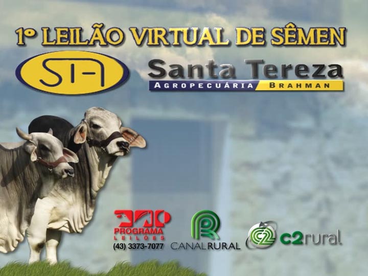 1º Leilão Virtual de Sêmen Santa Tereza