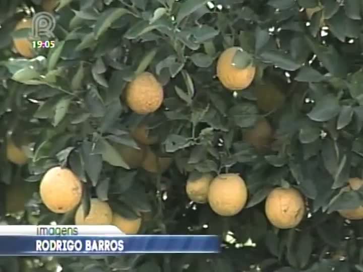 Lei que garante a destinação de 30% do dinheiro da merenda escolar aos agricultores familiares deve ser revisada