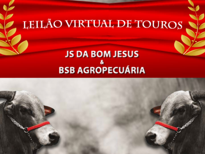 Leilão JS da Bom Jesus e BSB Agropecuária