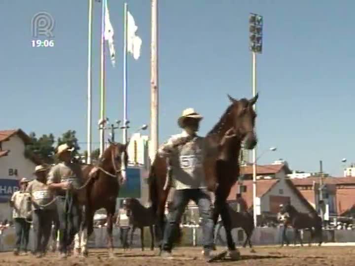 Parte 1: Mangalarga Marchador TV mostra as última notícias da 32ª Exposição Nacional, que começa no dia 17 de julho em Belo Horizonte