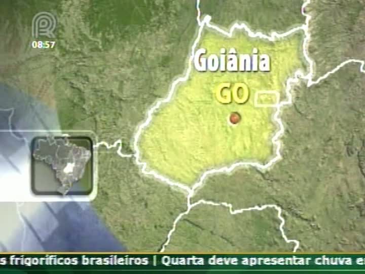 Tempo seco gera perda de produtividade em lavouras de milho em Goiás