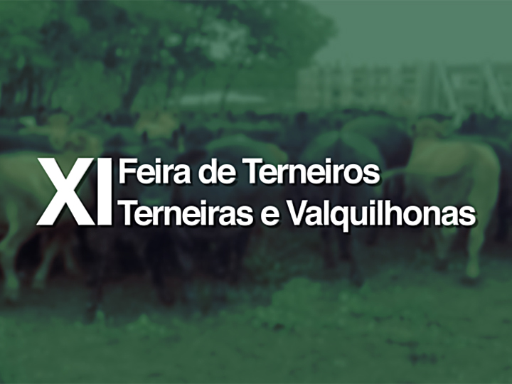 XI Feira de Terneiros, Terneiras e Vaquilhonas