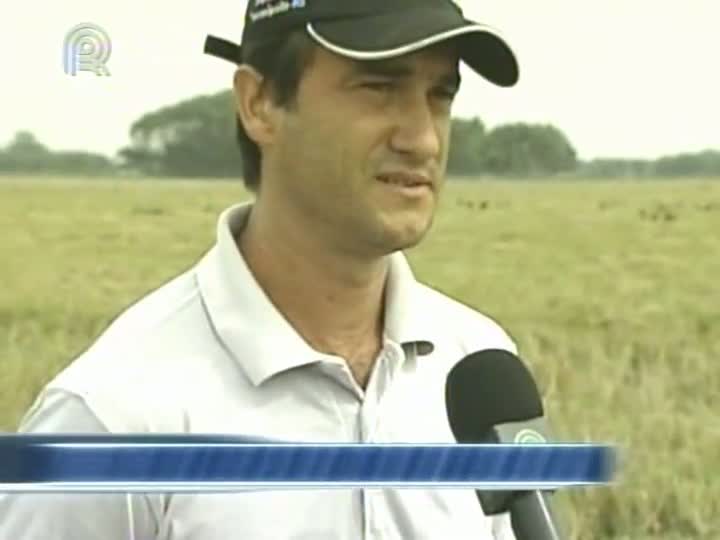 Arrozeiros do Rio Grande do Sul finalizam colheita do grão